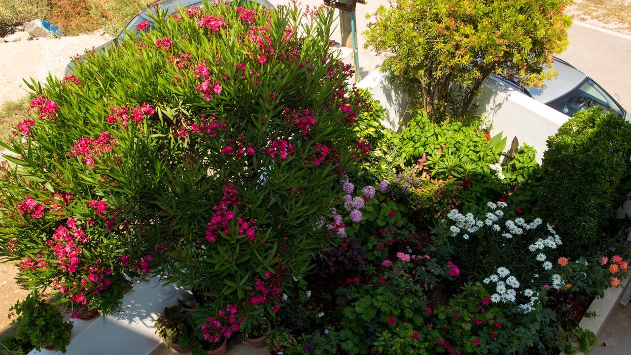 Erdeti Boutique Hotel Sarandë Buitenkant foto